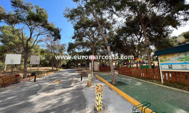 Sale - Apartment / flat - Guardamar del Segura