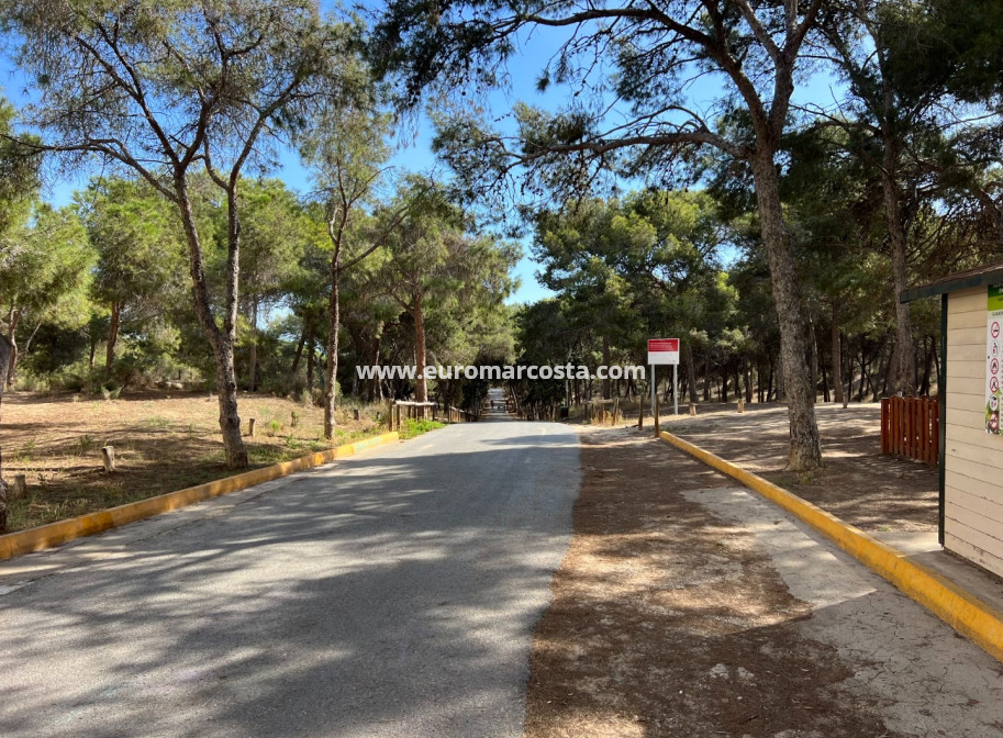 Sale - Apartment / flat - Guardamar del Segura