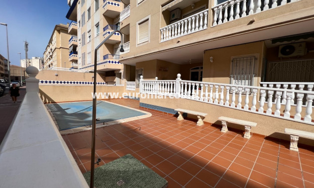 Venta - Apartamento / piso - Guardamar del Segura