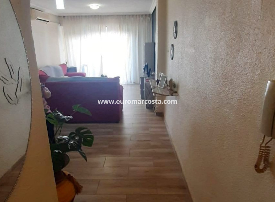 Venta - Apartamento / piso - La Mata