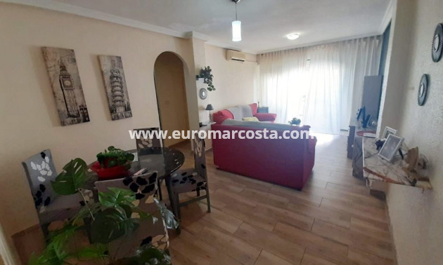 Venta - Apartamento / piso - La Mata