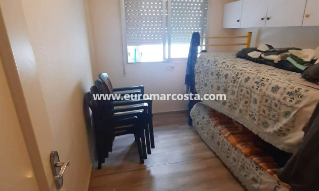 Venta - Apartamento / piso - La Mata