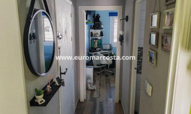 Sale - Apartment / flat - Torrevieja - Calas blanca