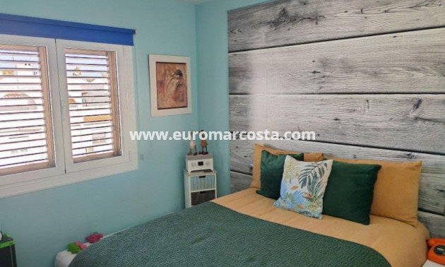 Sale - Apartment / flat - Torrevieja - Calas blanca