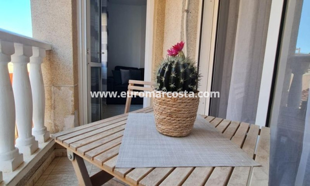 Objekte zum Wiederverkauf - Wohnung - Torrevieja - TORREVIEJA