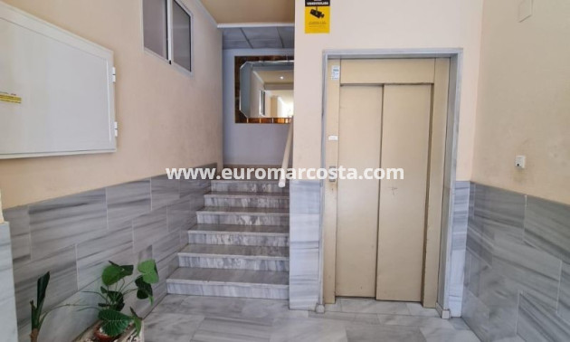 Objekte zum Wiederverkauf - Wohnung - Torrevieja - TORREVIEJA