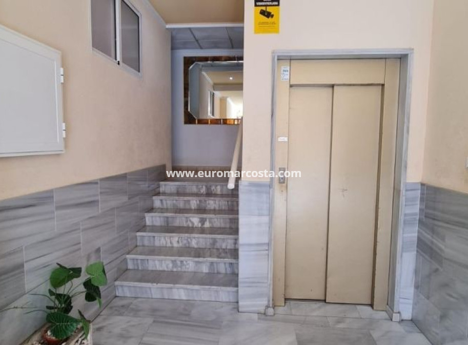 Objekte zum Wiederverkauf - Wohnung - Torrevieja - TORREVIEJA