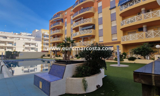Objekte zum Wiederverkauf - Wohnung - Torrevieja - TORREVIEJA