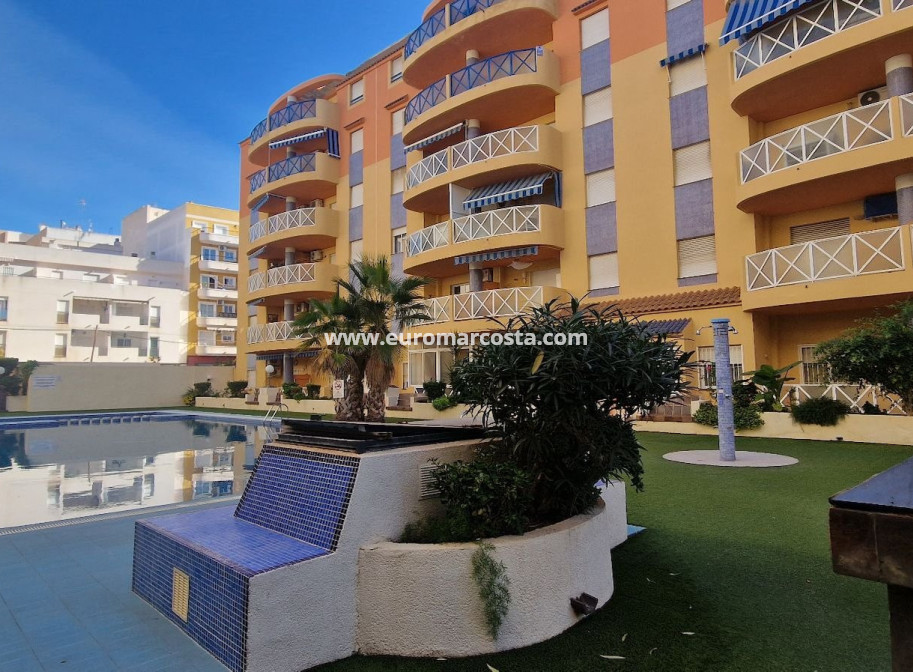 Objekte zum Wiederverkauf - Wohnung - Torrevieja - TORREVIEJA