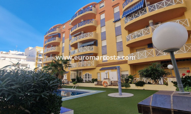 Objekte zum Wiederverkauf - Wohnung - Torrevieja - TORREVIEJA