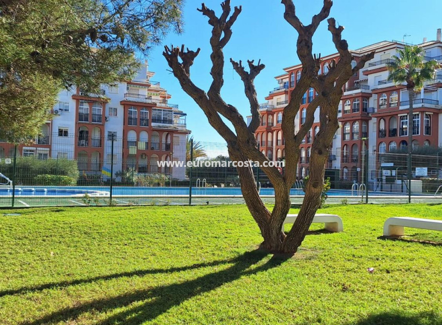 Objekte zum Wiederverkauf - Wohnung - Torrevieja - PLAYA DE LA MATA