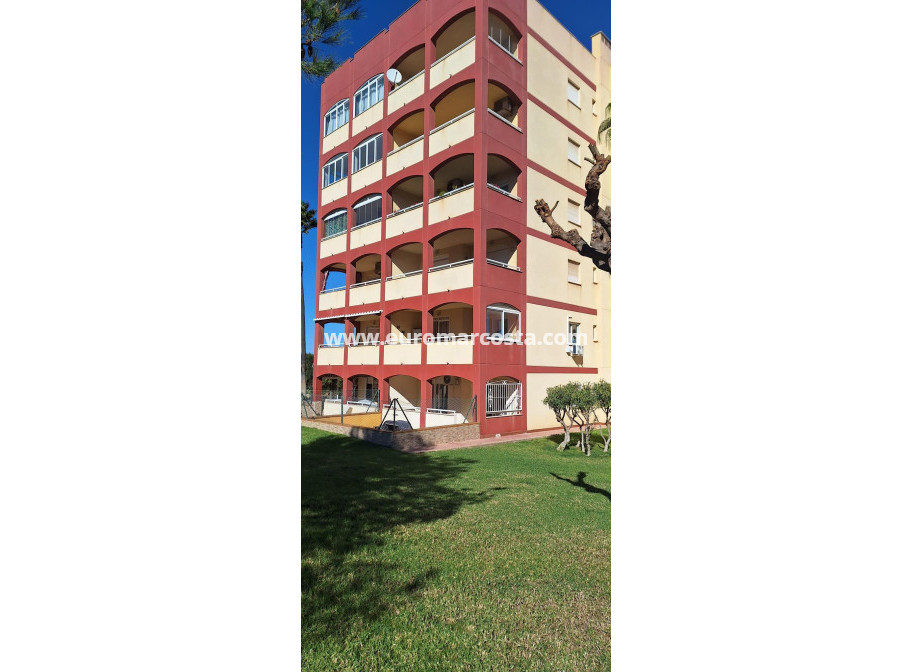 Sale - Apartment / flat - Torrevieja - PLAYA DE LA MATA