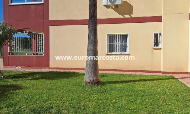 Sale - Apartment / flat - Torrevieja - PLAYA DE LA MATA