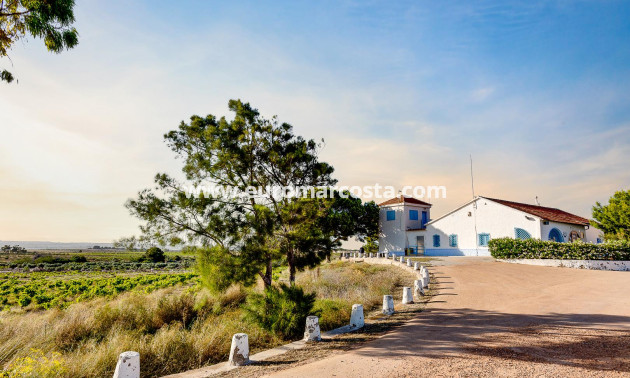 Objekte zum Wiederverkauf - Wohnung - Torrevieja - PLAYA DE LA MATA