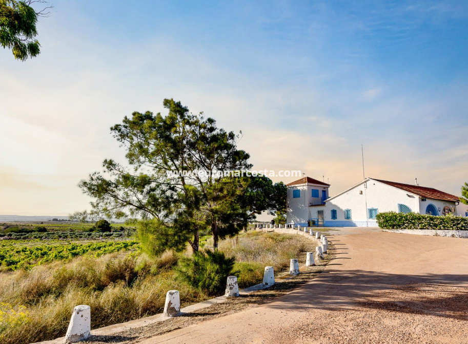 Objekte zum Wiederverkauf - Wohnung - Torrevieja - PLAYA DE LA MATA