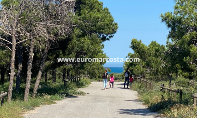 Objekte zum Wiederverkauf - Bungalow Planta Baja - Guardamar del Segura