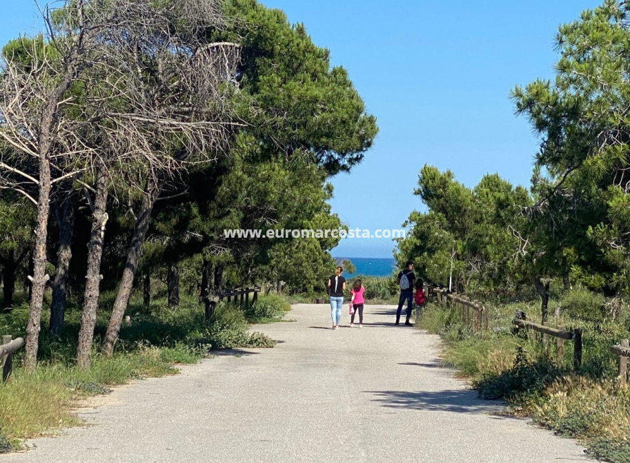 Objekte zum Wiederverkauf - Bungalow Planta Baja - Guardamar del Segura