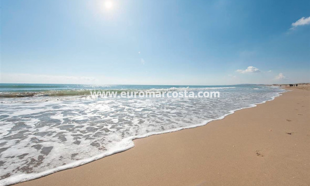 Sale - Bungalow Planta Baja - Guardamar del Segura