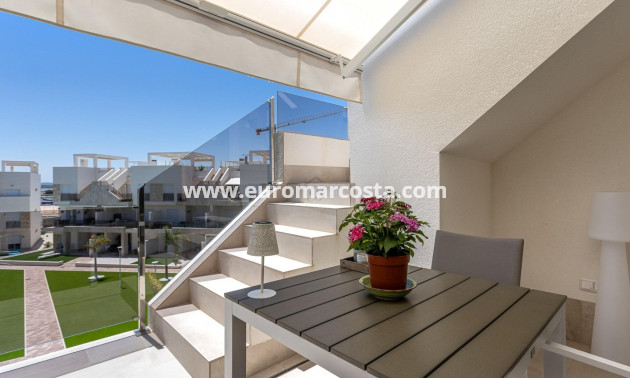 Sale - Apartment / flat - Guardamar del Segura - EL RASO