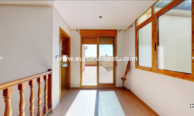 Sale - Detached House / Villa - Catral