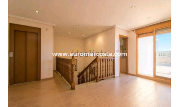 Sale - Detached House / Villa - Catral