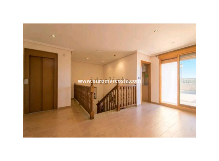 Sale - Detached House / Villa - Catral