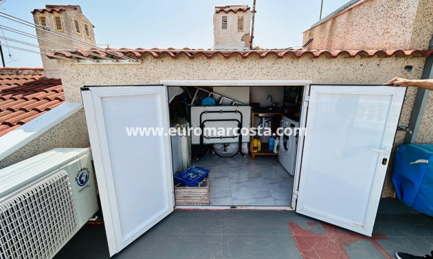 Objekte zum Wiederverkauf - Stadthaus - Torrevieja - TORREVIEJA