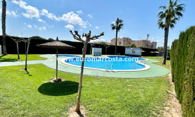 Objekte zum Wiederverkauf - Wohnung - Torrevieja - TORREVIEJA