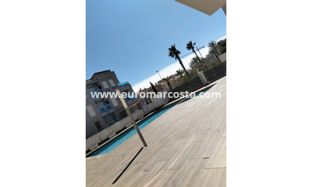 Objekte zum Wiederverkauf - Wohnung - Torrevieja - TORREVIEJA