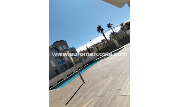 Objekte zum Wiederverkauf - Wohnung - Torrevieja - TORREVIEJA