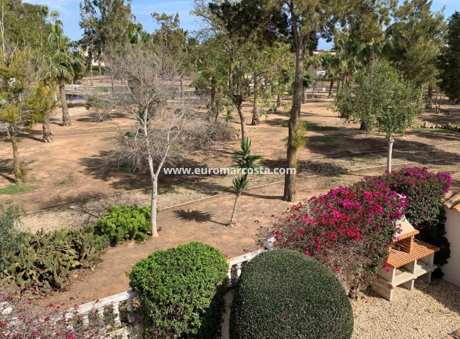 Objekte zum Wiederverkauf - Villa freitstehend - Guardamar del Segura