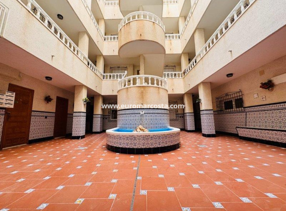 Venta - Apartamento / piso - La Mata