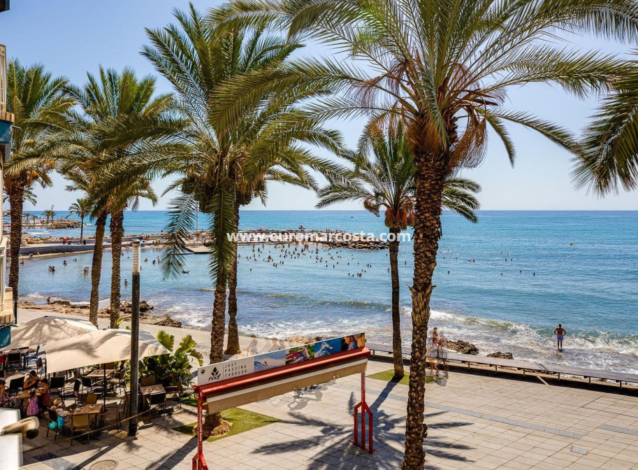 Sale - Apartment / flat - Torrevieja - TORREVIEJA