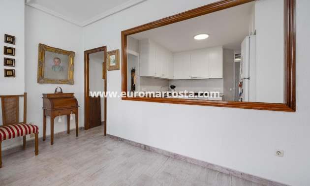 Sale - Apartment / flat - Torrevieja - TORREVIEJA