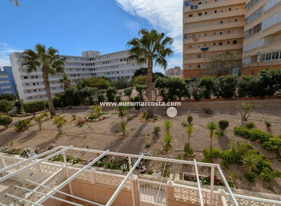 Objekte zum Wiederverkauf - Studio - Torrevieja - TORREVIEJA