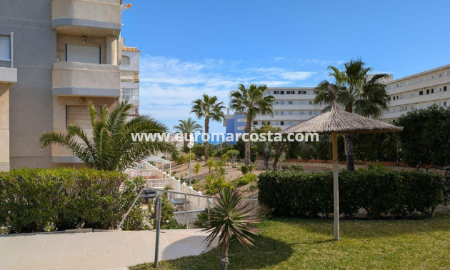 Objekte zum Wiederverkauf - Studio - Torrevieja - TORREVIEJA
