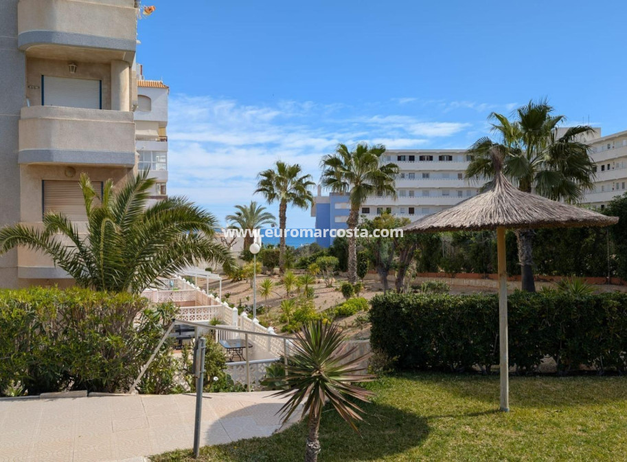 Objekte zum Wiederverkauf - Studio - Torrevieja - TORREVIEJA