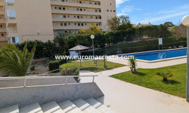 Objekte zum Wiederverkauf - Studio - Torrevieja - TORREVIEJA