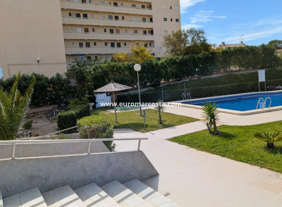 Objekte zum Wiederverkauf - Studio - Torrevieja - TORREVIEJA