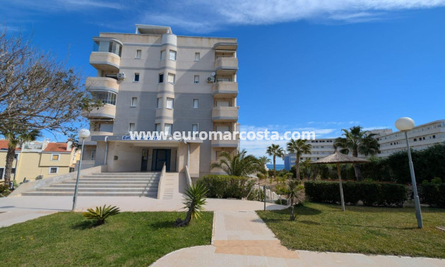 Objekte zum Wiederverkauf - Studio - Torrevieja - TORREVIEJA