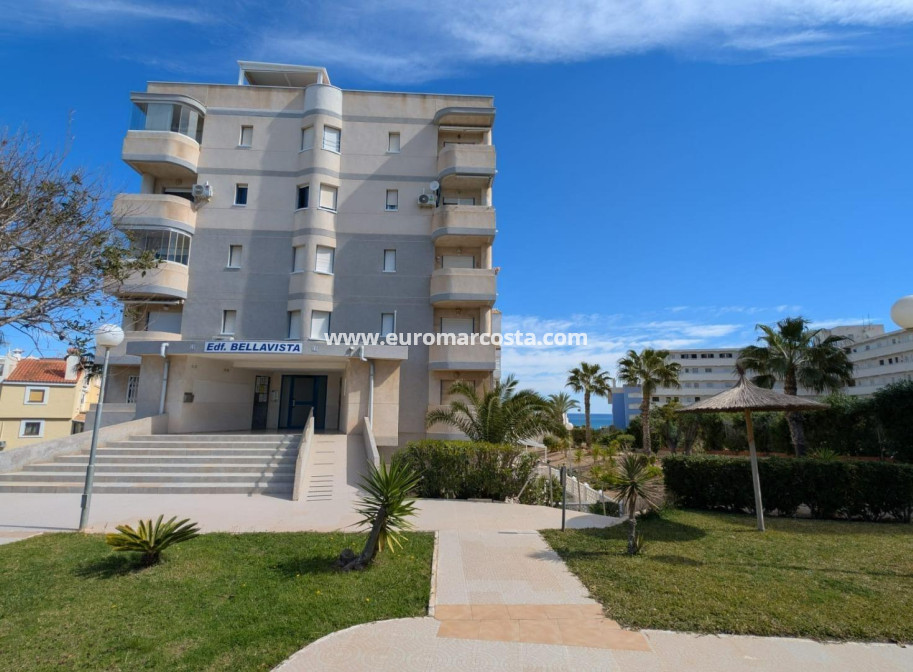 Objekte zum Wiederverkauf - Studio - Torrevieja - TORREVIEJA