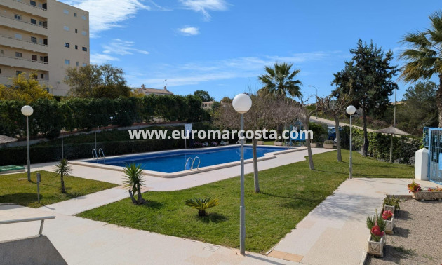 Objekte zum Wiederverkauf - Studio - Torrevieja - TORREVIEJA