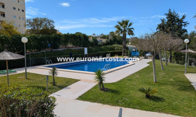 Objekte zum Wiederverkauf - Studio - Torrevieja - TORREVIEJA