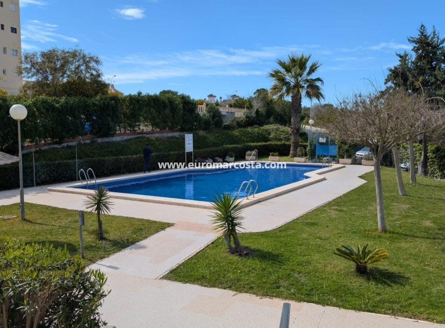 Objekte zum Wiederverkauf - Studio - Torrevieja - TORREVIEJA