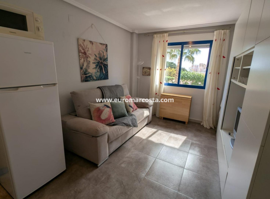 Objekte zum Wiederverkauf - Studio - Torrevieja - TORREVIEJA