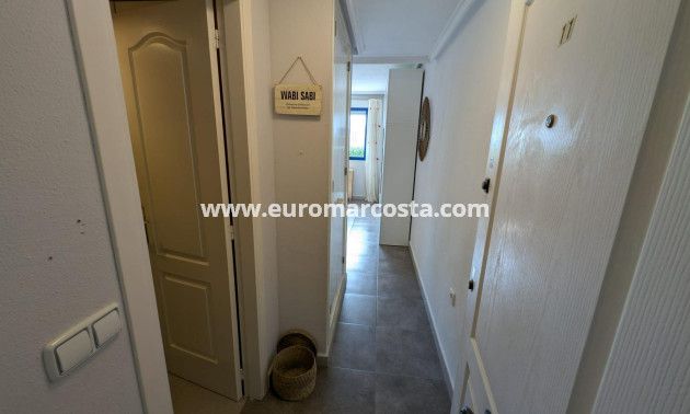 Objekte zum Wiederverkauf - Studio - Torrevieja - TORREVIEJA