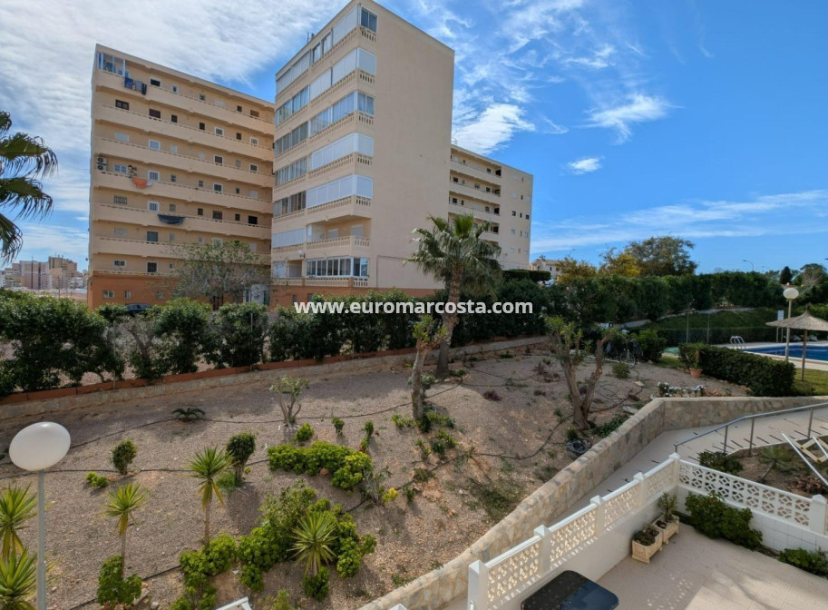 Objekte zum Wiederverkauf - Studio - Torrevieja - TORREVIEJA