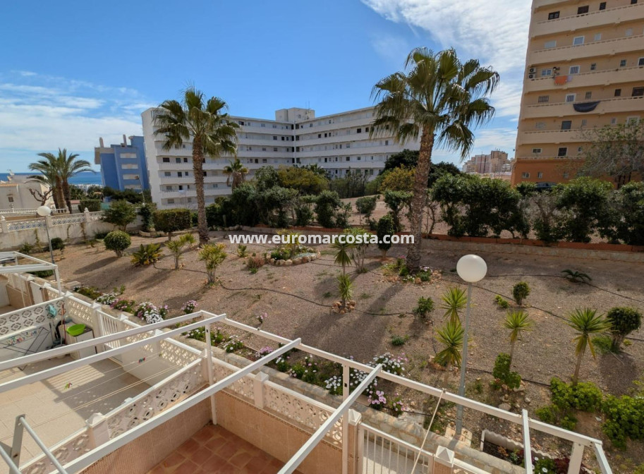Objekte zum Wiederverkauf - Studio - Torrevieja - TORREVIEJA
