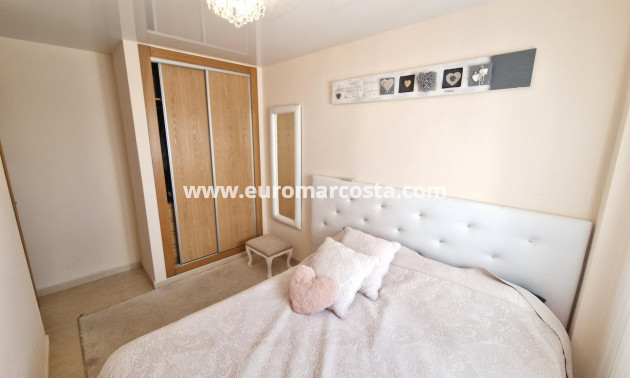 Objekte zum Wiederverkauf - Penthouse - Torrevieja - TORREVIEJA
