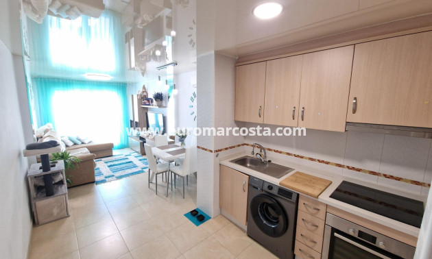 Objekte zum Wiederverkauf - Penthouse - Torrevieja - TORREVIEJA